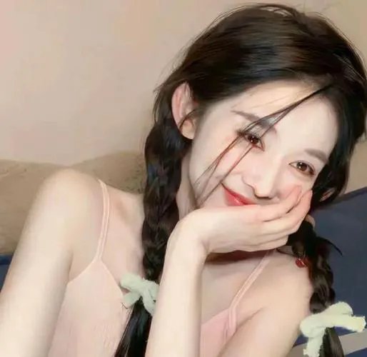 小野猫公路历险记